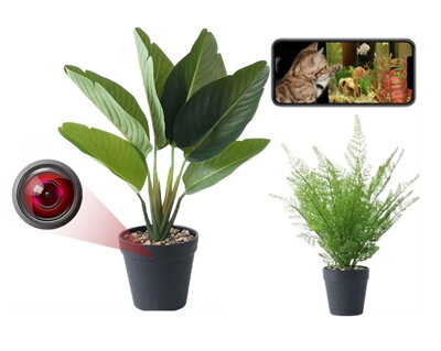 WiFi kamera skrytá v květináči s rostlinou 4K